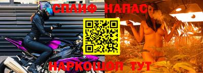 ПСИЛОЦИБИНОВЫЕ ГРИБЫ Новокубанск