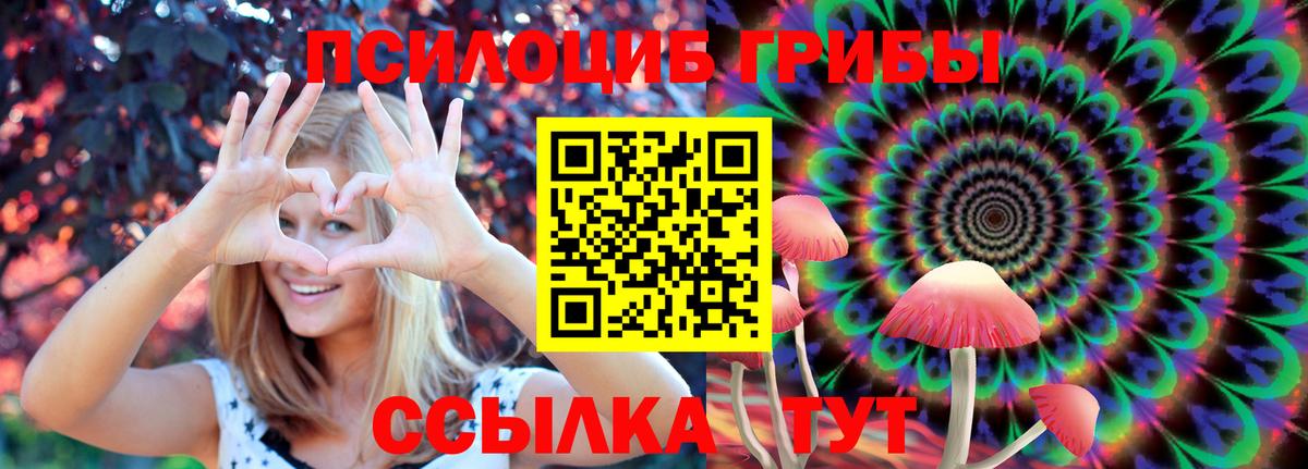 Псилоцибиновые грибы мицелий Острогожск